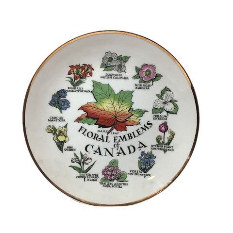 Vintage Collector Plate Floral Emblems of Canada Porcelain White / Gold Trim 8"